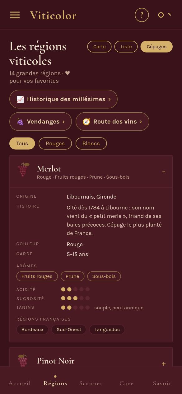 Fiche du cépage Merlot : origine, histoire, garde, arômes, acidité, sucrosité et tanins.